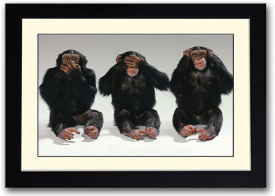 

3 Chimpanzee Fine Art Print(14 inch X 20 inch, Framed)