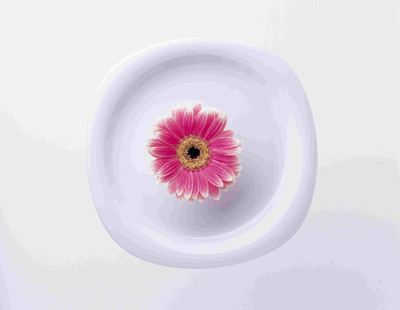 

Posterhouzz Flower Fine Art Print Poster Fine Art Print(12 inch X 18 inch, Rolled)