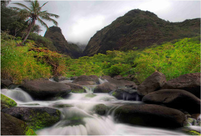 

Nature Paper Print(19 inch X 13 inch, Rolled)