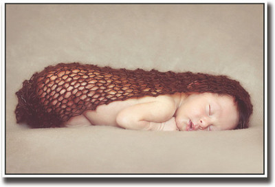 

Adorable cute newborn baby in brown net Fine Art Print(12 inch X 18 inch, Rolled)