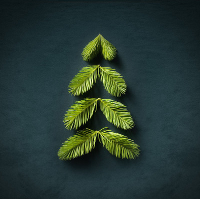 

Green Christmas Tree - Medium Size Ready To Frame Rolled Digital Art Print On Photographic Paper(18 inch X 18 inch, Rolled)