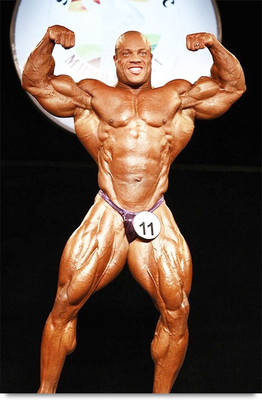 

Phil Heath no. 11 Paper Print(18 inch X 12 inch, Stacked)