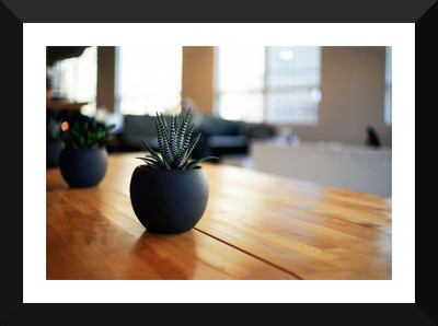 

Tallenge - Valentine’s Day Gift - House Plant - Premium Quality A3 Size Framed Poster Paper Print(17 inch X 12 inch, Framed)
