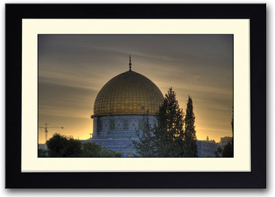 

Beautiful Mosque Photography Fine Art Print(14 inch X 20 inch, Framed)