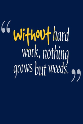 

Posterhouzz Without Hard Work Poster Photographic Paper(12 inch X 18 inch, Rolled)