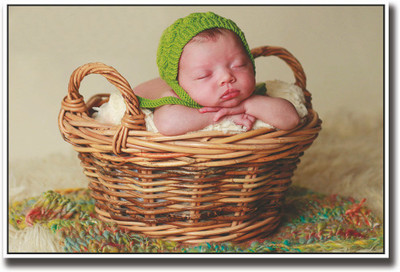 

Baby with green hat in basket Fine Art Print(12 inch X 18 inch, Rolled)