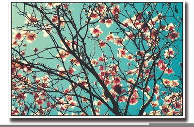

Posterhouzz Tree covered with beautiful flowers Fine Art Print(12 inch X 18 inch, Rolled)