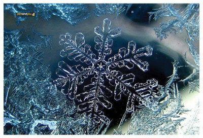 

Pics and You Winter Season Themed 50 Vinyl Laptop Decal 15.6