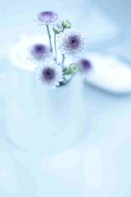 

Posterhouzz Flower Fine Art Print Poster Fine Art Print(18 inch X 12 inch, Rolled)
