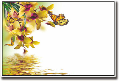 

Black and yellow butterflies Fine Art Print(12 inch X 18 inch, Rolled)