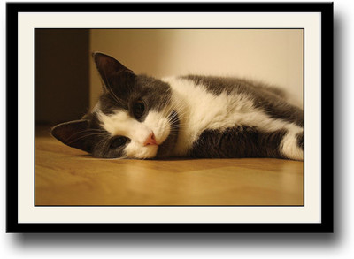 

Cute Cat lying on floor Fine Art Print(10 inch X 14 inch, Framed)