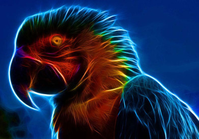 33% OFF on Bird Fine Art Print(17 inch X 12 inch, Rolled) 33% OFF on Bird Fine Art Print(17 inch X 12 inch, Rolled)