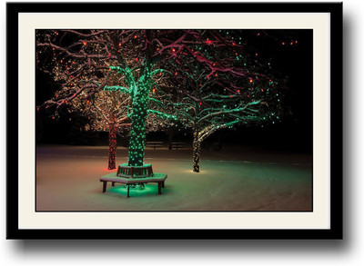 

Lights on Tree Fine Art Print(10 inch X 14 inch, Framed)