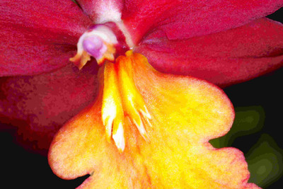 

Posterhouzz Flower Fine Art Print Poster Fine Art Print(12 inch X 18 inch, Rolled)