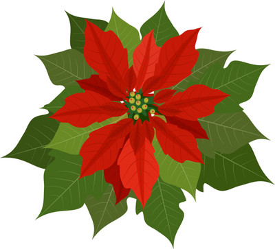 

Christmas Colored Leaves - Medium Size Ready To Frame Rolled Digital Art Print On Photographic Paper(18 inch X 18 inch, Rolled)