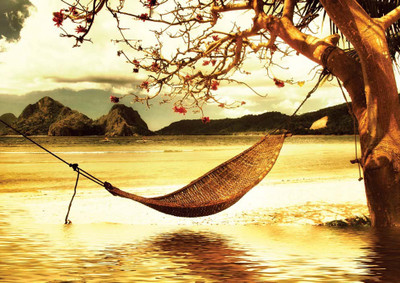 33% OFF on Hammock Paper Print(17 inch X 12 inch, Rolled) 33% OFF on Hammock Paper Print(17 inch X 12 inch, Rolled)