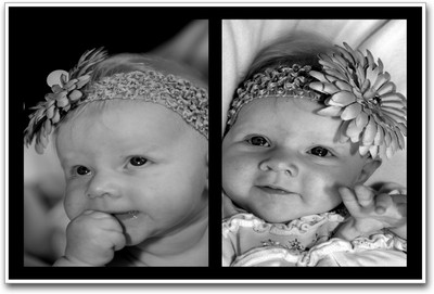 

Sweet Babies Photographic Paper(12 inch X 18 inch)