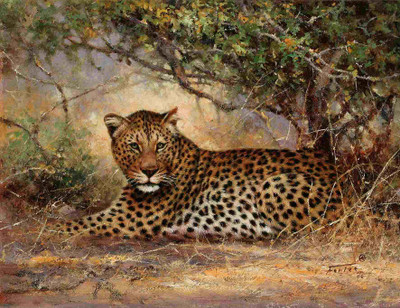 

Posterhouzz Animal Fine Art Print Poster Fine Art Print(12 inch X 18 inch, Rolled)