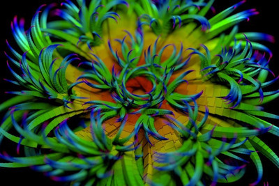 

Posterhouzz Fine Art Print(12 inch X 18 inch, Rolled)