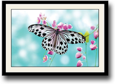 

Beautiful black and white butterfly Fine Art Print(10 inch X 14 inch, Framed)