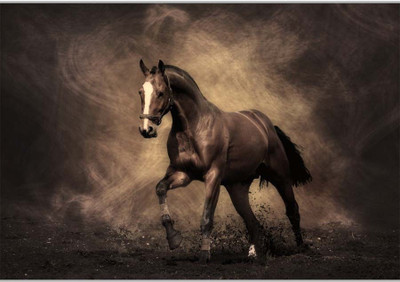 

Posterhouzz Beautiful Brown Horse Paper Print(12 inch X 18 inch, Rolled)