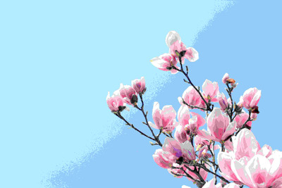 

Posterhouzz Flower Fine Art Print Poster Fine Art Print(12 inch X 18 inch, Rolled)