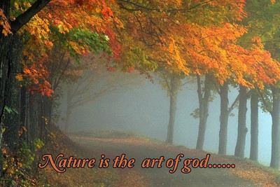 

Posterhouzz Nature Is The Art Of God...... Poster Fine Art Print(12 inch X 18 inch, Rolled)