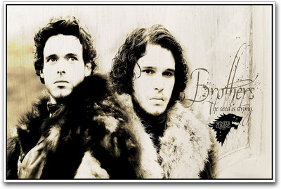 

Winter is Coming GOT stunning Paper Print(12 inch X 18 inch)