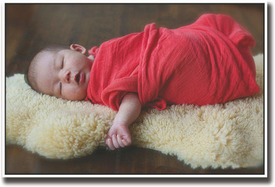 

Cute baby wrapped in red Fine Art Print(12 inch X 18 inch, Rolled)