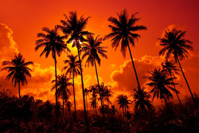 Nature Canvas Art(32 inch X 48 inch)