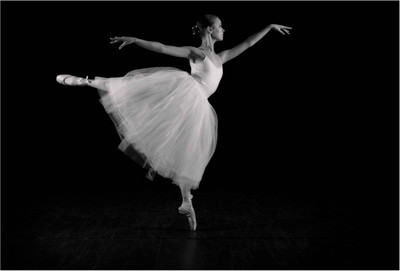 

Dance Wallpaper Paper Print(13 inch X 19 inch, Rolled)