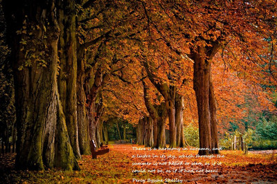 

Posterhouzz Fine Art Print(12 inch X 18 inch, Rolled)