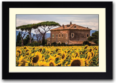 

Sunflower fields Fine Art Print(14 inch X 20 inch, Framed)