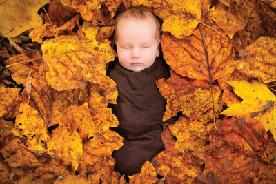 

Baby And Leaves Paper Poster 12"x18" Paper Print(13 inch X 19 inch, Rolled)