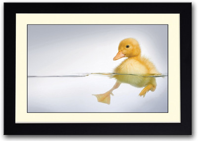 

Little Yellow Duck Fine Art Print(14 inch X 20 inch, Framed)