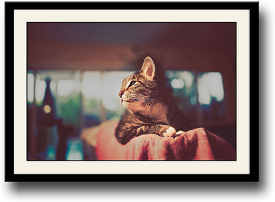 

Vintage Photography cat Fine Art Print(10 inch X 14 inch, Framed)
