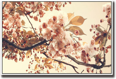 

Beautiful Pink flowers Fine Art Print(12 inch X 18 inch, Rolled)