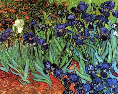 6% OFF on Irises 2 Paper Print(18 inch X 23 inch, Rolled) 6% OFF on Irises 2 Paper Print(18 inch X 23 inch, Rolled)