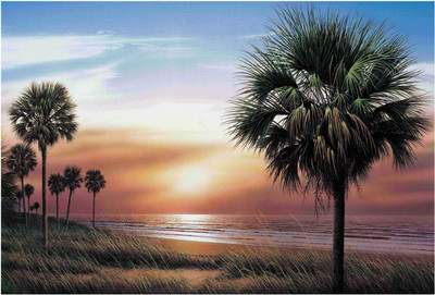 Palm Tree Wallpaper Paper Print(13 inch X 19 inch, Rolled) available at flipkart for Rs.149