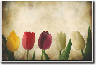 

Five Beautiful flowers Fine Art Print(12 inch X 18 inch, Rolled)