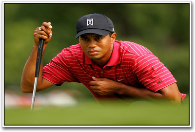 

Tiger Woods Golf fabulous Paper Print(12 inch X 18 inch)