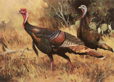 25% OFF on Elite Collection Frameless Painting Animal-0090 Canvas Art(18 inch X 24 inch)