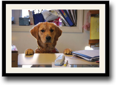 

Dog looking over table Fine Art Print(10 inch X 14 inch, Framed)