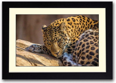 

Leopard Animal Fine Art Print(14 inch X 20 inch, Framed)