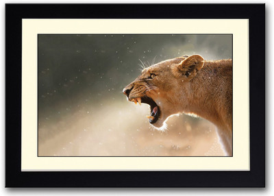 

Lioness Fine Art Print(14 inch X 20 inch, Framed)