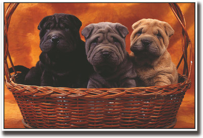 

Three cute dog in Basket Fine Art Print(12 inch X 18 inch, Rolled)
