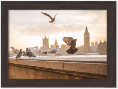 

Birds Nature Themed Framed Poster Photographic Paper(13.5 inch X 10 inch, Box Packing)