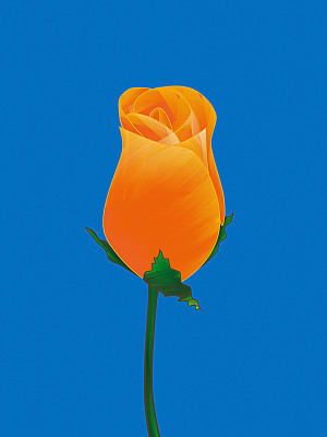 50% OFF on Rose Bud Canvas Art(26 inch X 20 inch) 50% OFF on Rose Bud Canvas Art(26 inch X 20 inch)