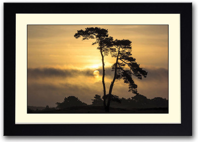 

Sun shining behind tree Fine Art Print(14 inch X 20 inch, Framed)