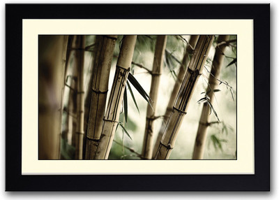 

Bamboo Tree Fine Art Print(14 inch X 20 inch, Framed)